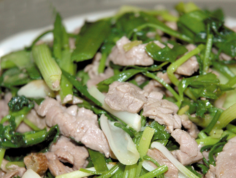 Ảnh[-]minh[-]họa.